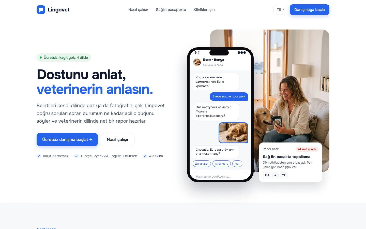 Lingovet masaüstü ana sayfa görünümü
